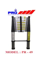 Thang nhôm rút gọn đơn Pro PR49