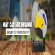 Máy cắt sắt Nikawa NK-BSG2500