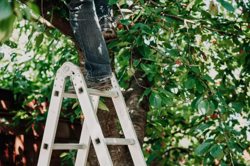 Cách bảo quản thang nhôm gia đình đúng cách để thang được bền bỉ 