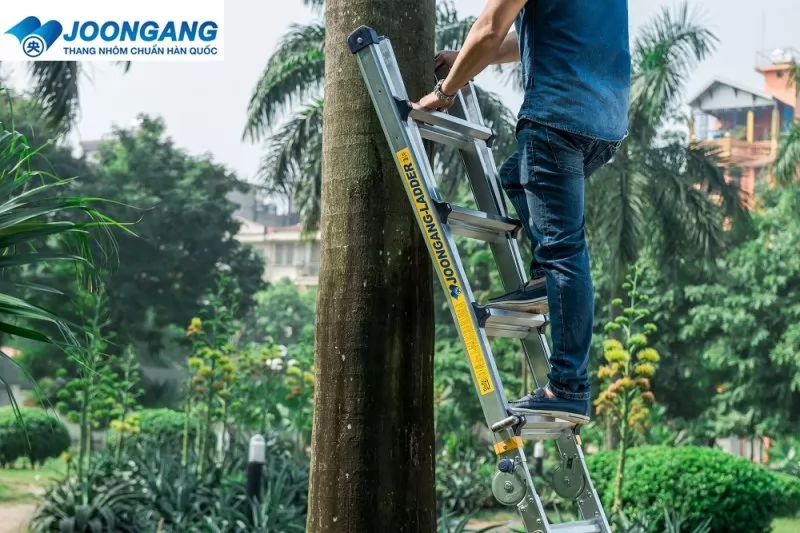 Thang nhôm chữ A chắc chắn và năng động nhất hiện nay